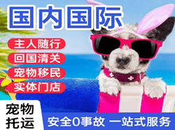 信阳明港航空快递国际宠物托运 【国